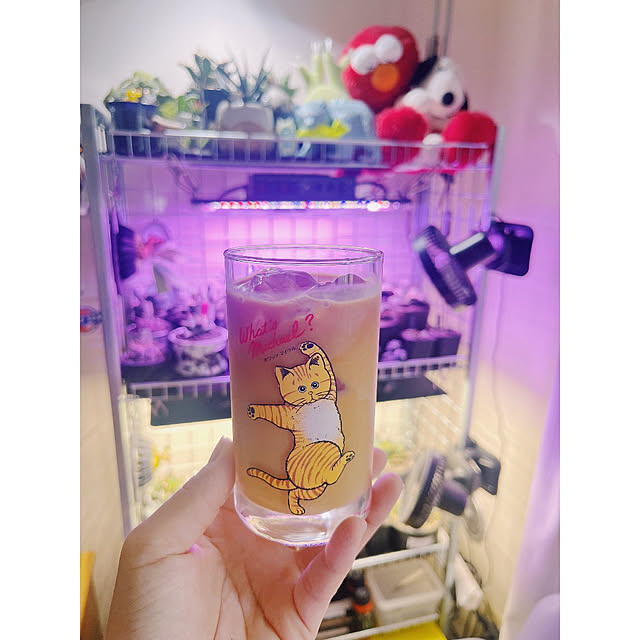 w_end_0625さんの実例写真