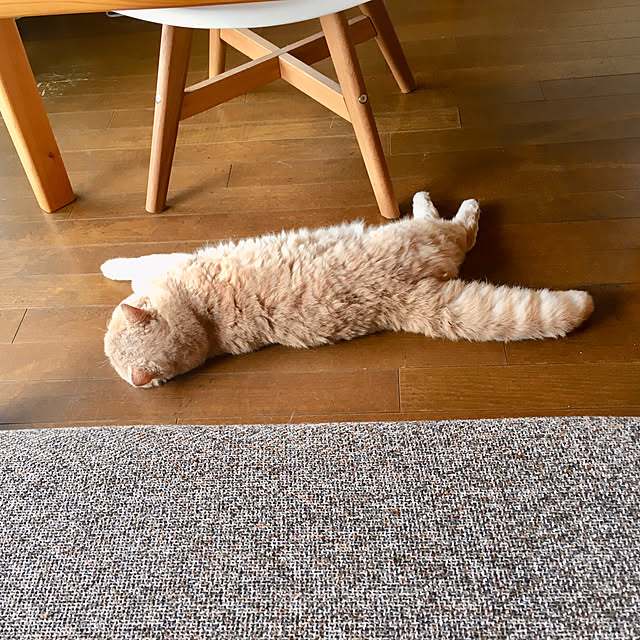 naokoさんの実例写真