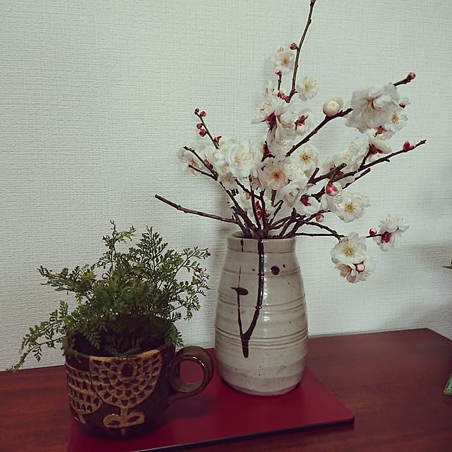 hopkeiさんの実例写真