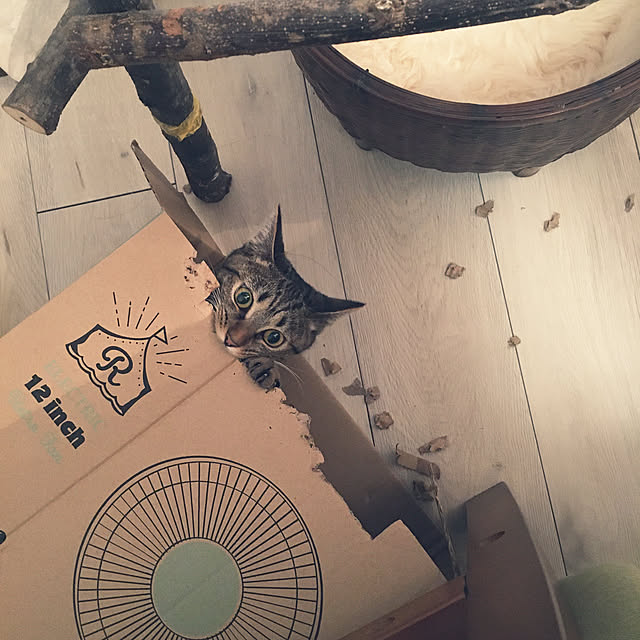 Mさんの実例写真