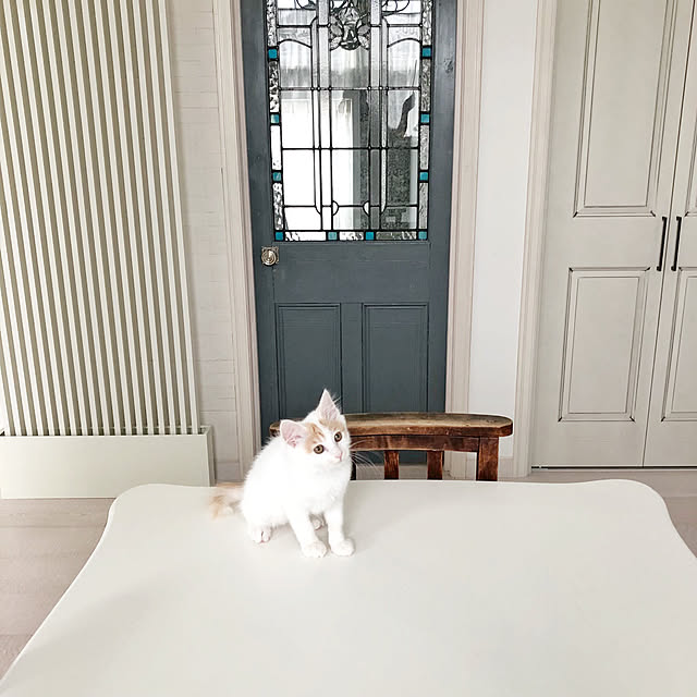 yuchiさんの実例写真