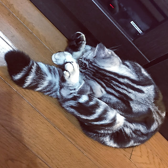 arimanaさんの実例写真