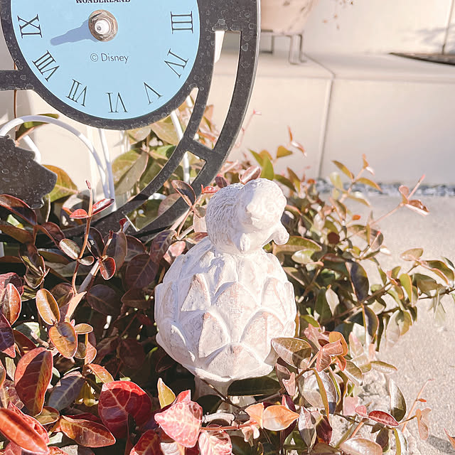 akiko-ovさんの部屋