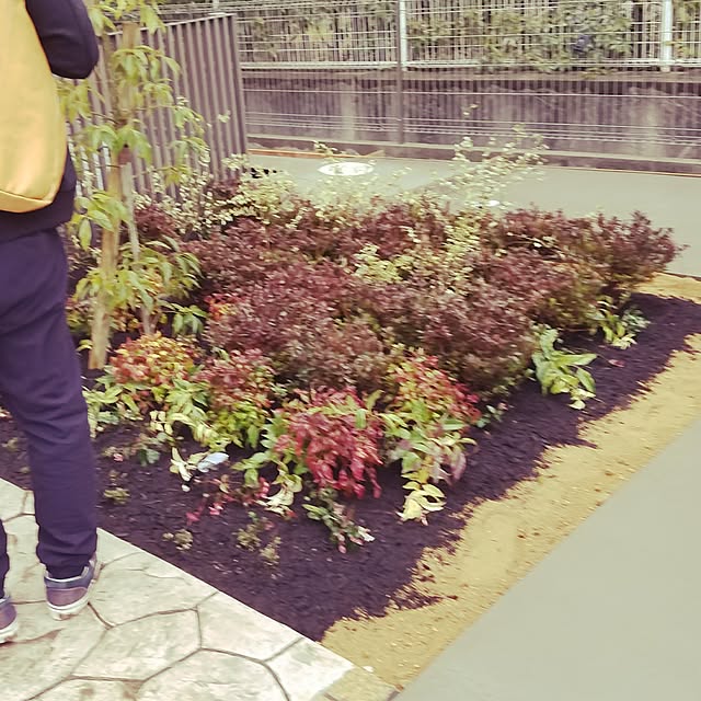 takanaomiさんの実例写真