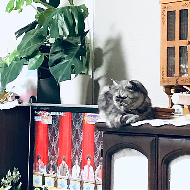 Marinさんの実例写真