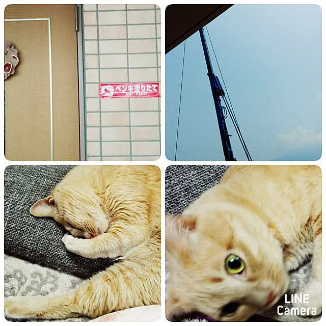 nana.maroさんの実例写真