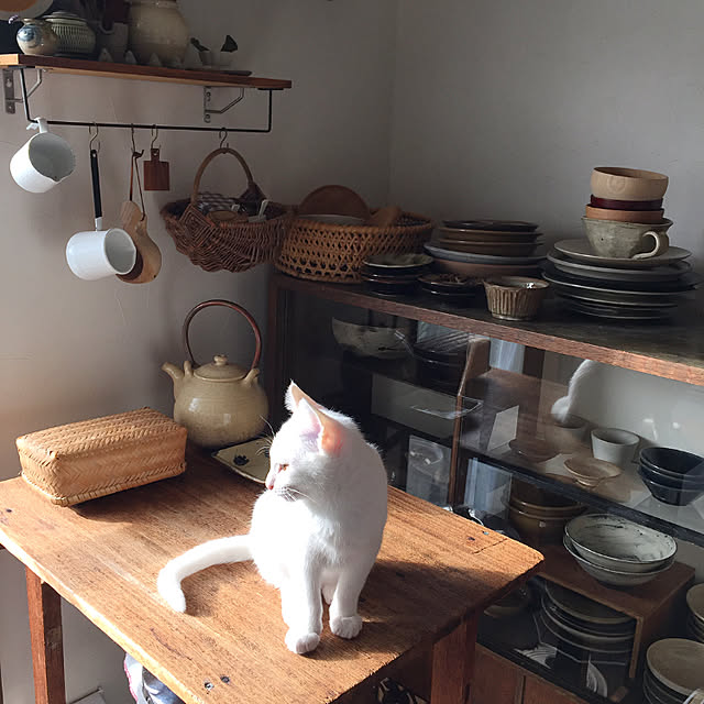 zuiiさんの実例写真