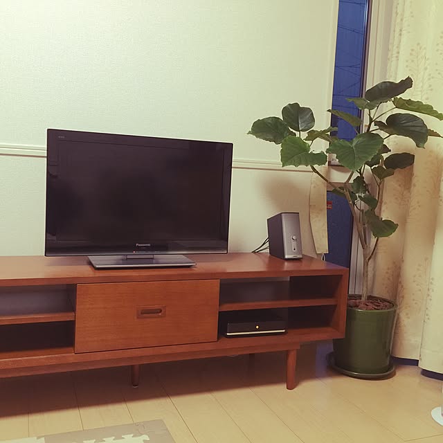 部屋全体/観葉植物のインテリア実例 - 2015-07-08 21:36:55