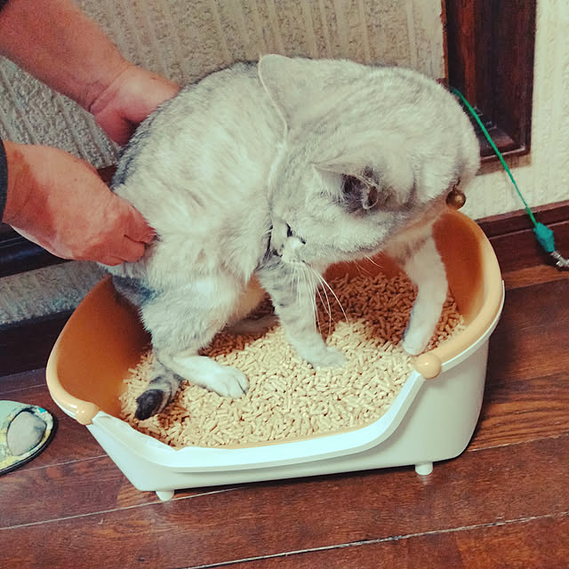 neiroさんの実例写真