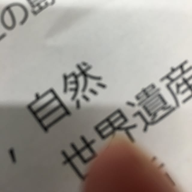 実例写真