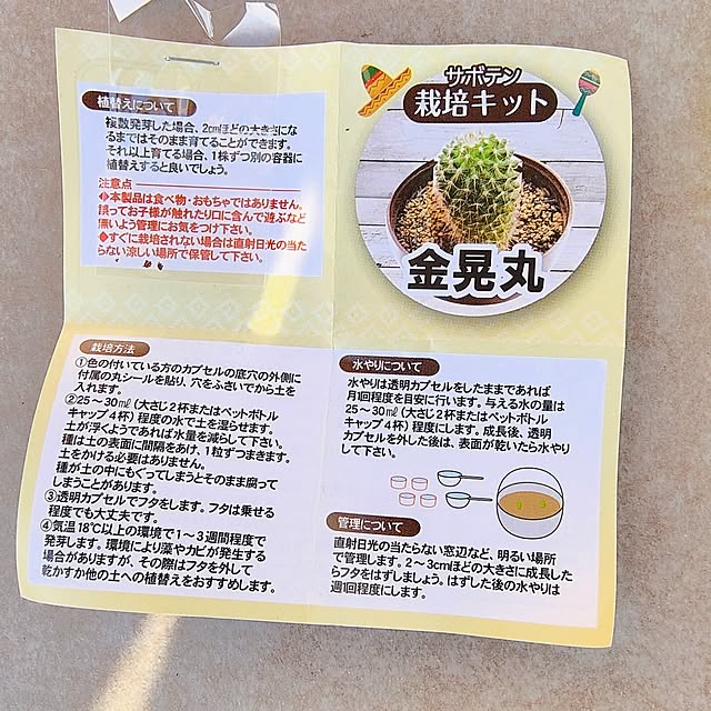 mowchanさんの部屋