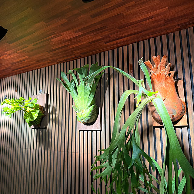 Takuさんの実例写真