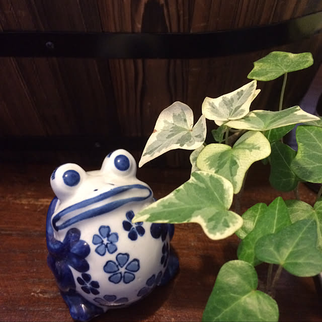 ancoさんの実例写真