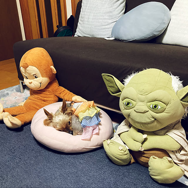 CoCo0617さんの実例写真