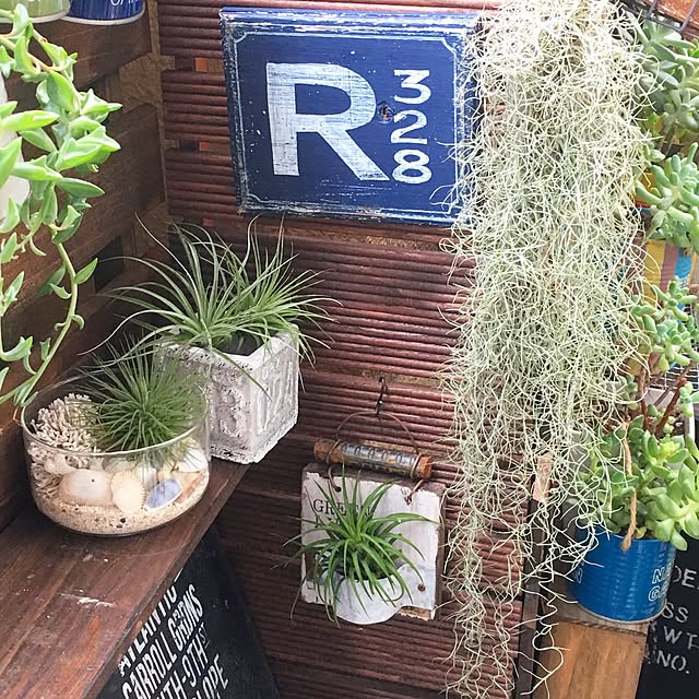 rupunさんの実例写真
