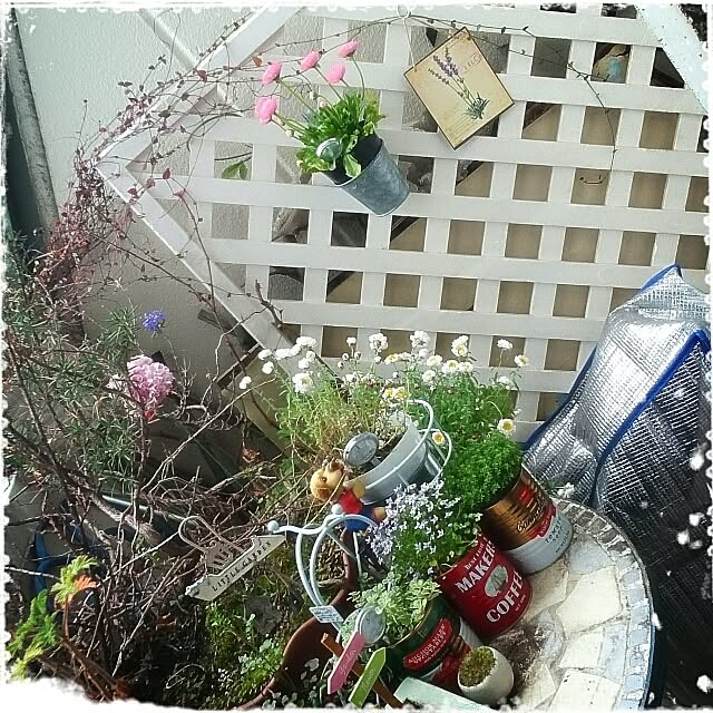 OBTERNIR88filerさんの実例写真