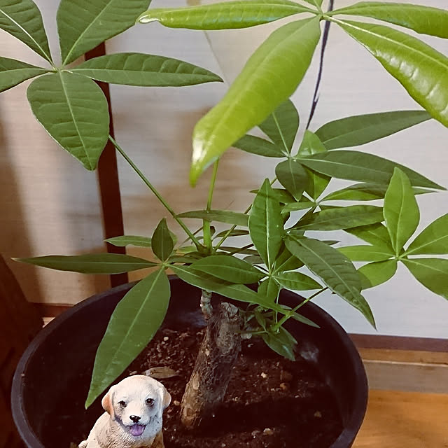hiro-yさんの実例写真
