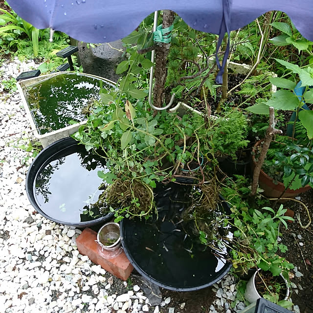 uchizukonyanさんの実例写真