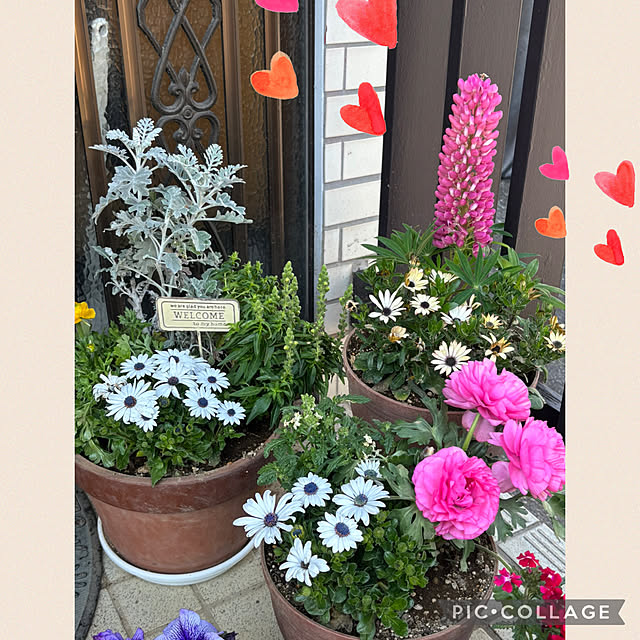 Smilkazuさんの部屋