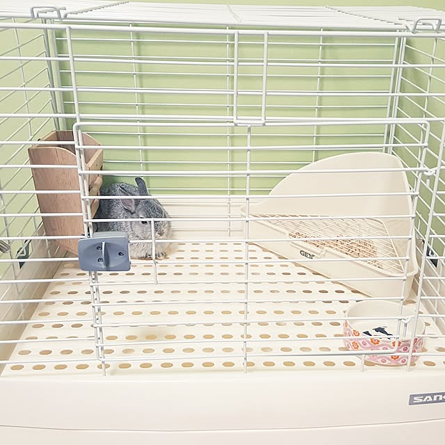 Dayさんの実例写真