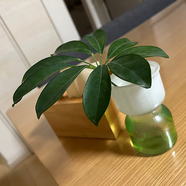 suzuさんの実例写真