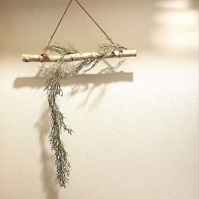 Pochitaroさんの実例写真