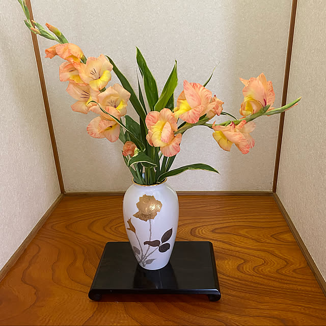 chIoeさんの実例写真
