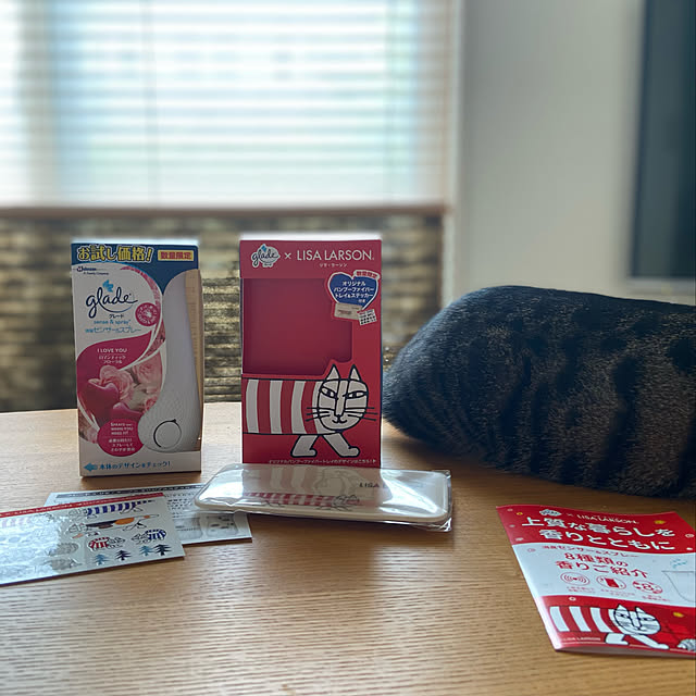ippu0303Karinさんの実例写真