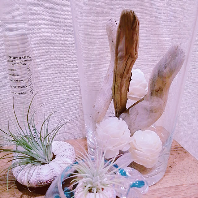 Manaさんの実例写真