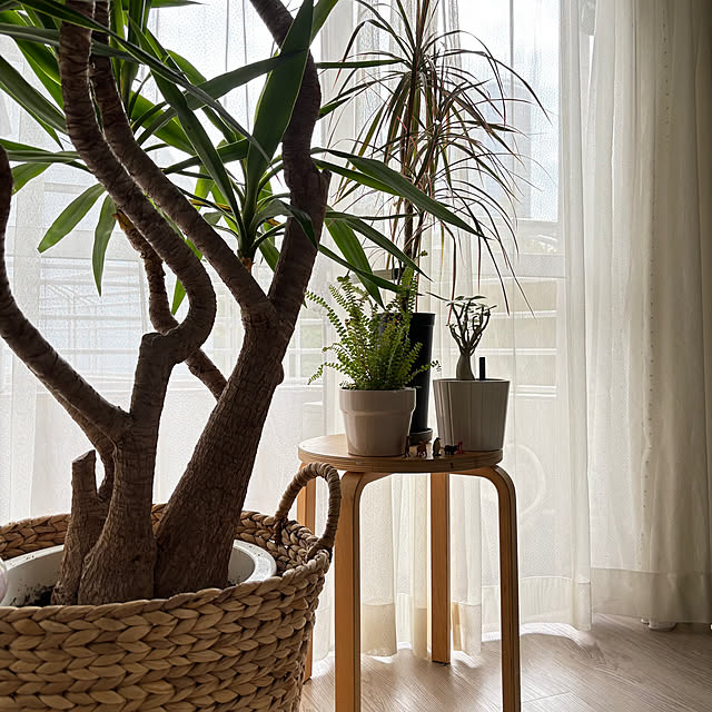 Aiさんの実例写真