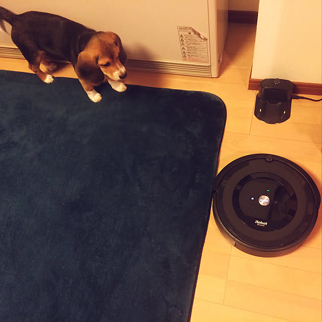 リビング/犬/roomba e5/新商品買ったよ！のインテリア実例 - 2019-01-13 18:16:56