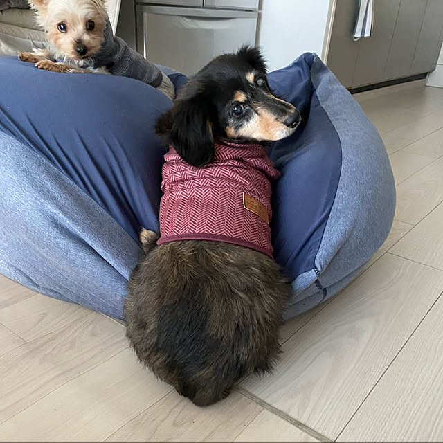 ohanaさんの実例写真
