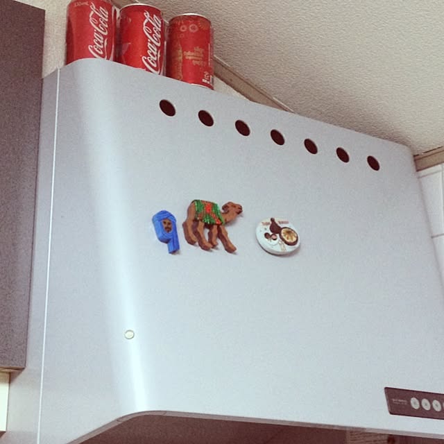 aaaaaiiiさんの実例写真