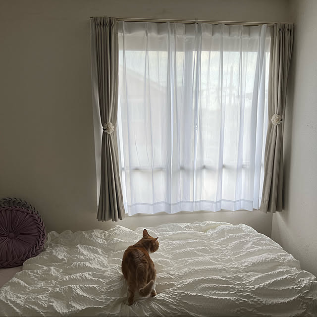 maruさんの実例写真