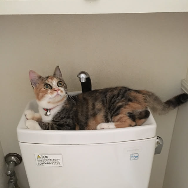 nerogaraginさんの実例写真
