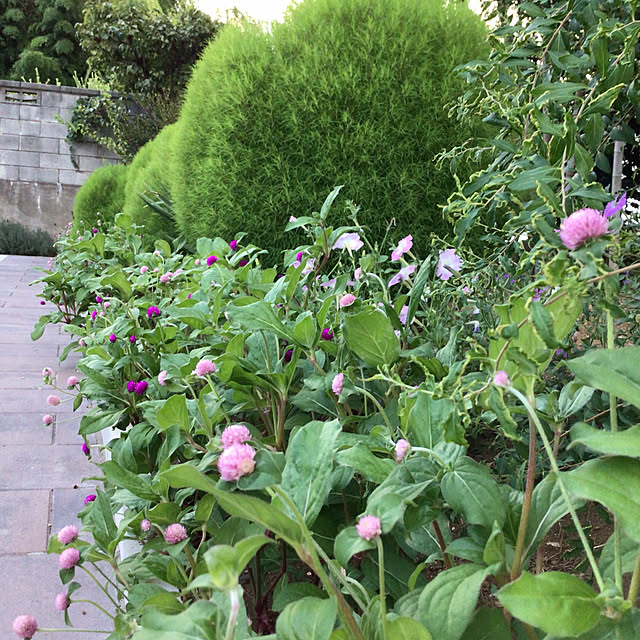 houenさんの部屋