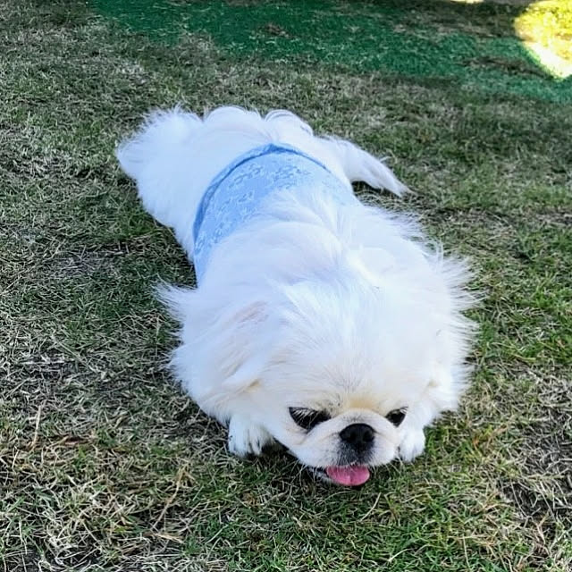 happyさんの実例写真