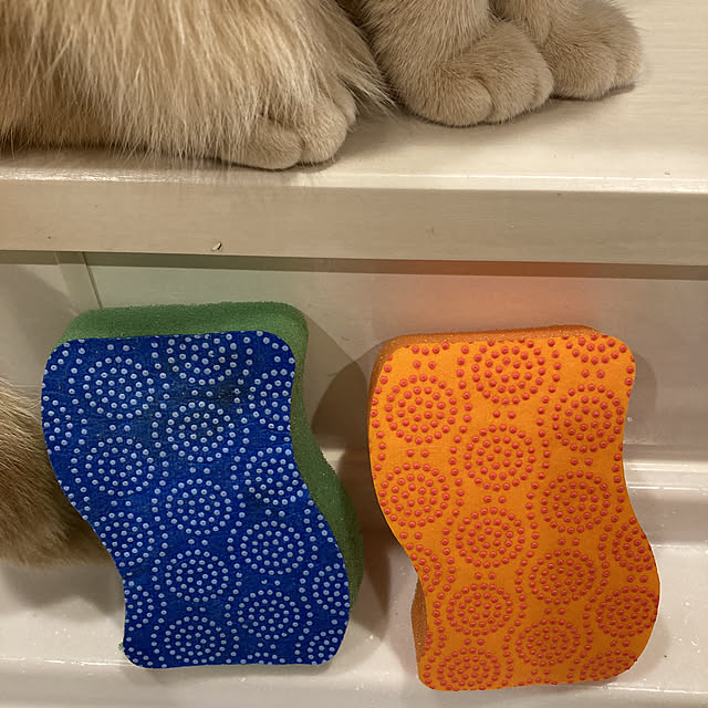 chi-さんの実例写真