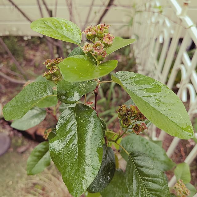 Bienvenueさんの部屋