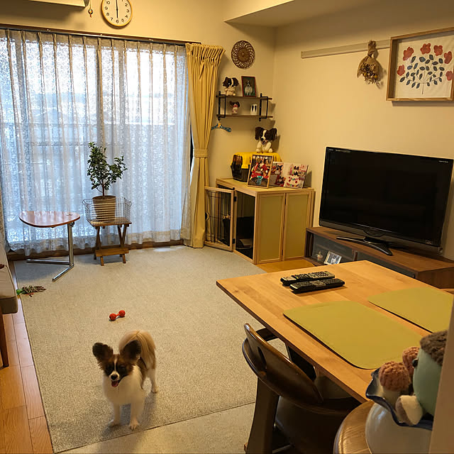 asamamaさんの実例写真
