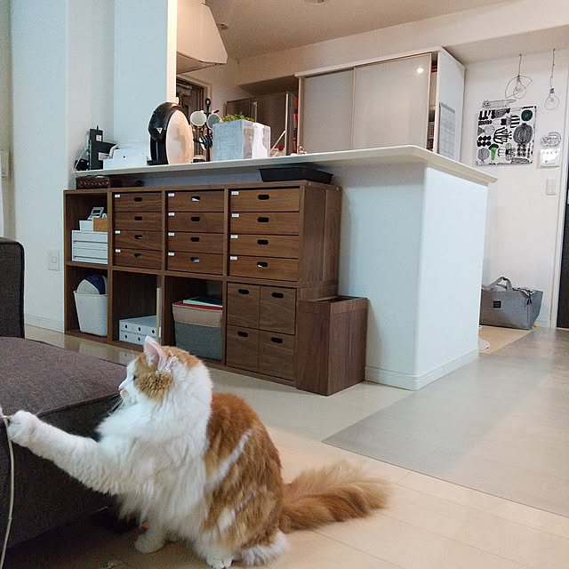 Akiさんの実例写真