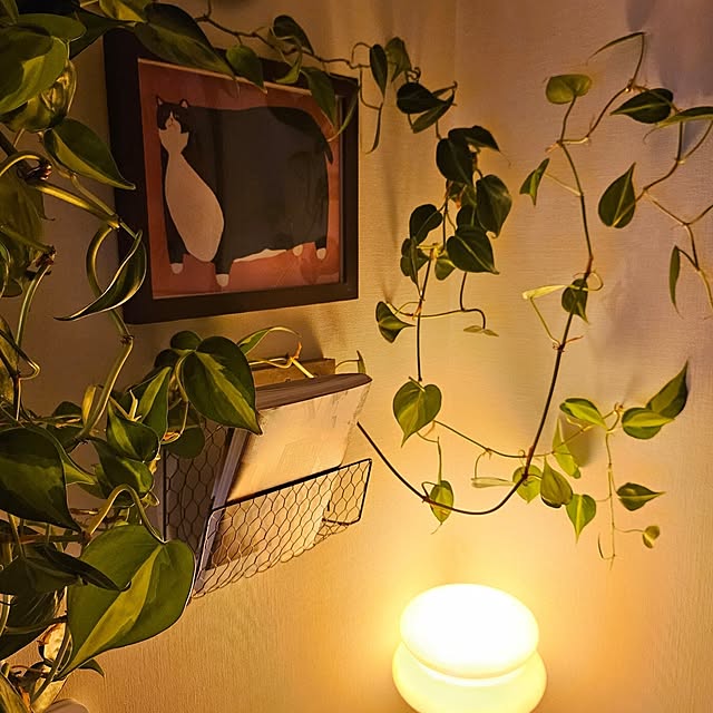 TAREさんの部屋