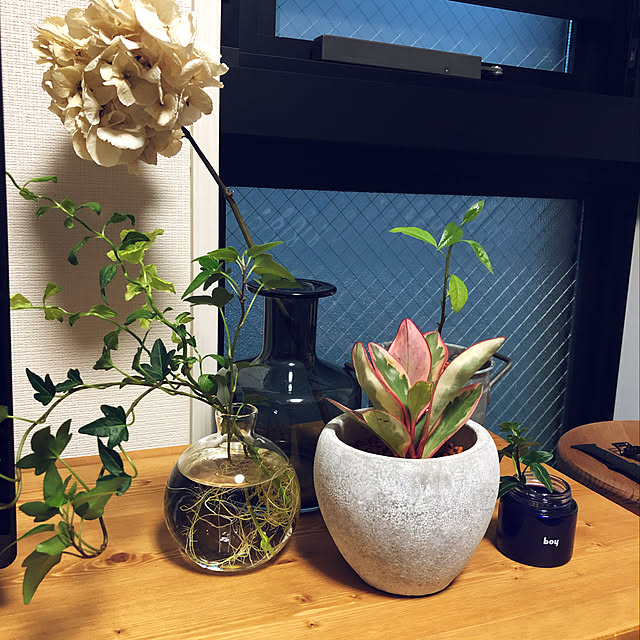 corinsei_12さんの実例写真