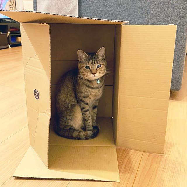 mochicoさんの実例写真