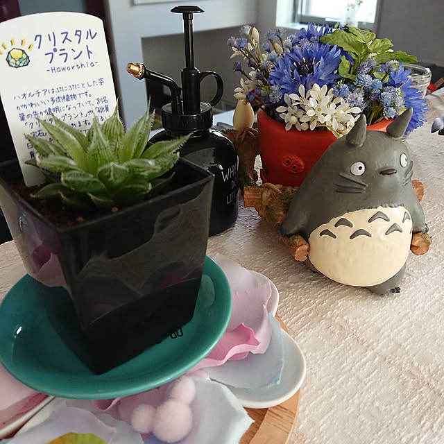 totoroさんの実例写真