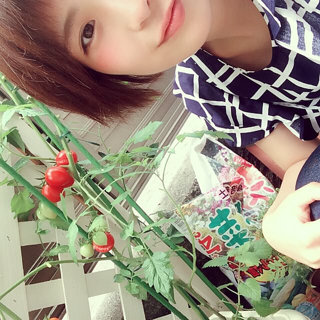 nishichanさんの実例写真