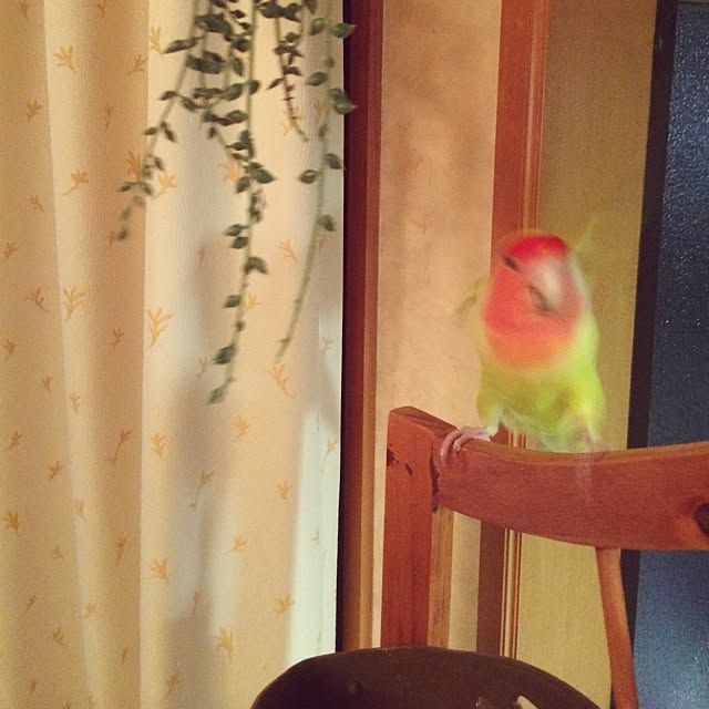 mokaさんの実例写真