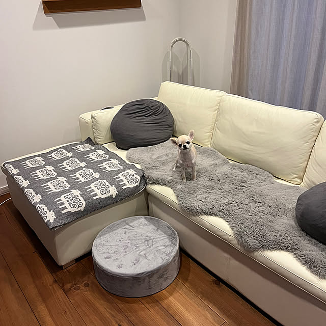 acoさんの部屋