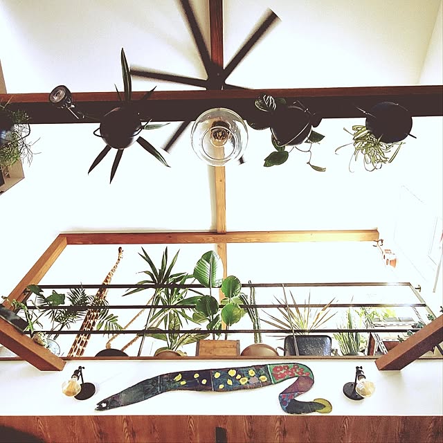 rimoleoさんの部屋