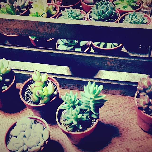 ironwoodworksさんの実例写真